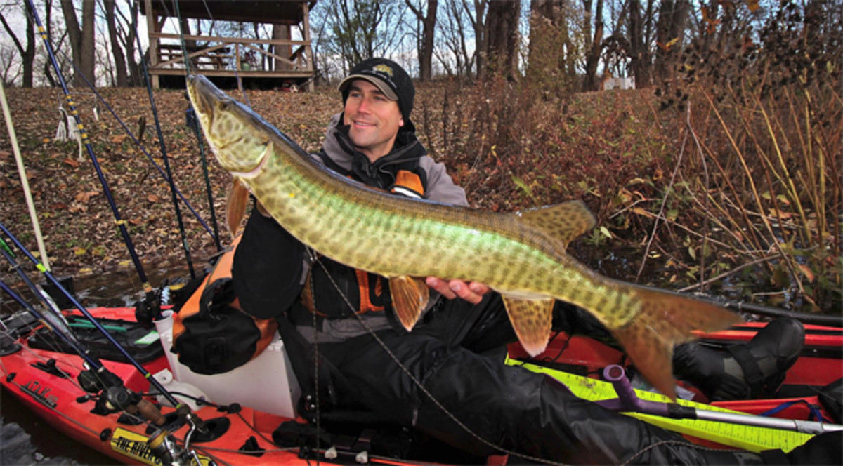 Jeff Little was targeting smallmouth when he ran into another predator, this beautiful musky. Photo Jeff Little