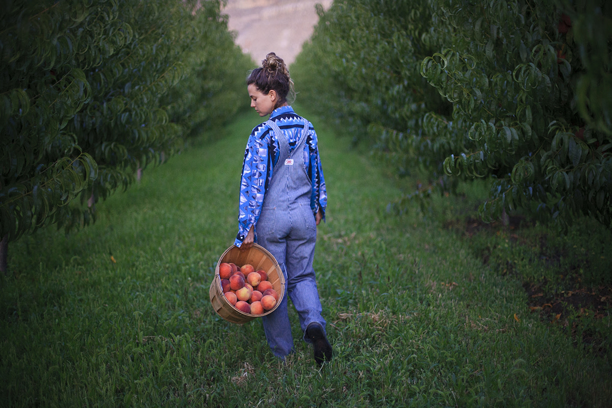Campbell and Goldfarb earn money for gas and food through seasonal harvests at farms across the country. Photo: Idle Theory Bus