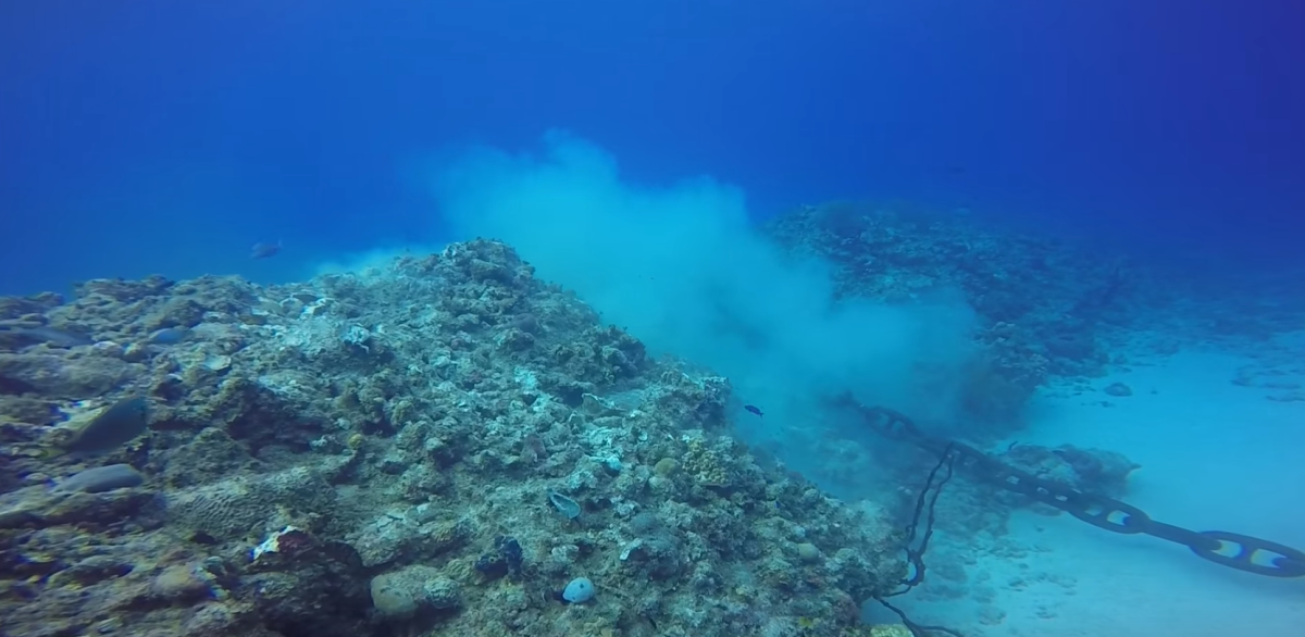 Cruise ship destroys coral reef