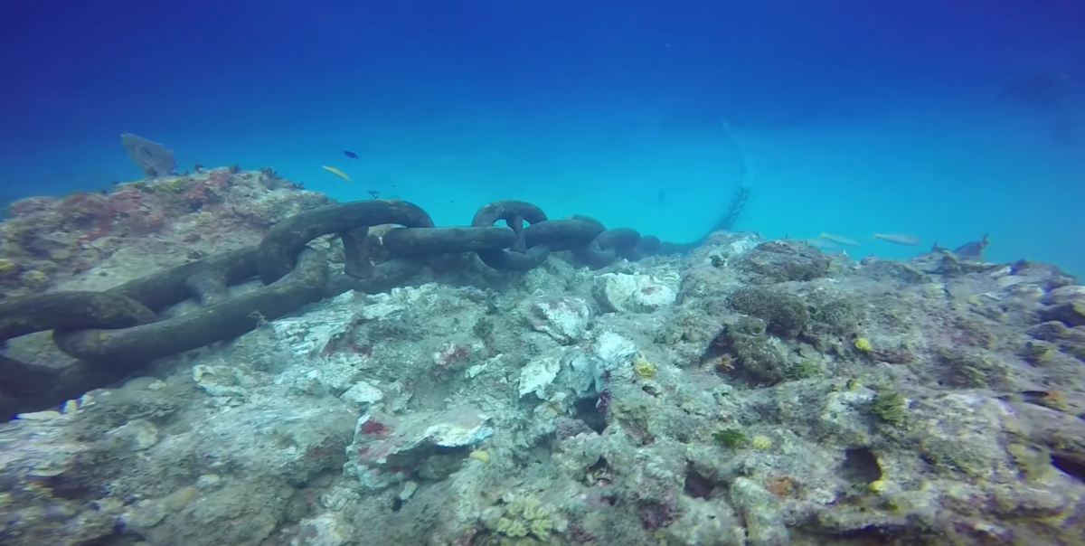 Cruise ship destroys coral reef