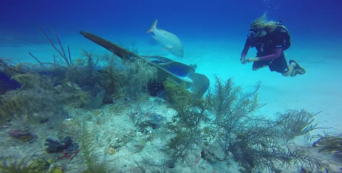 Cruise ship destroys coral reef