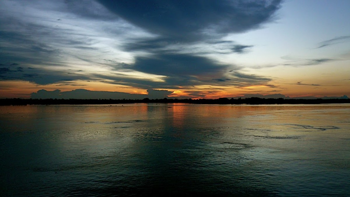Toughest Adventures - Swimming the Amazon