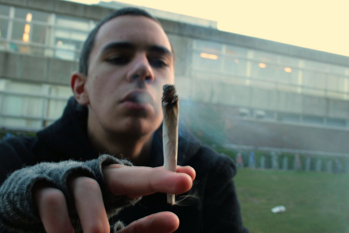 weed Marijuana biking study