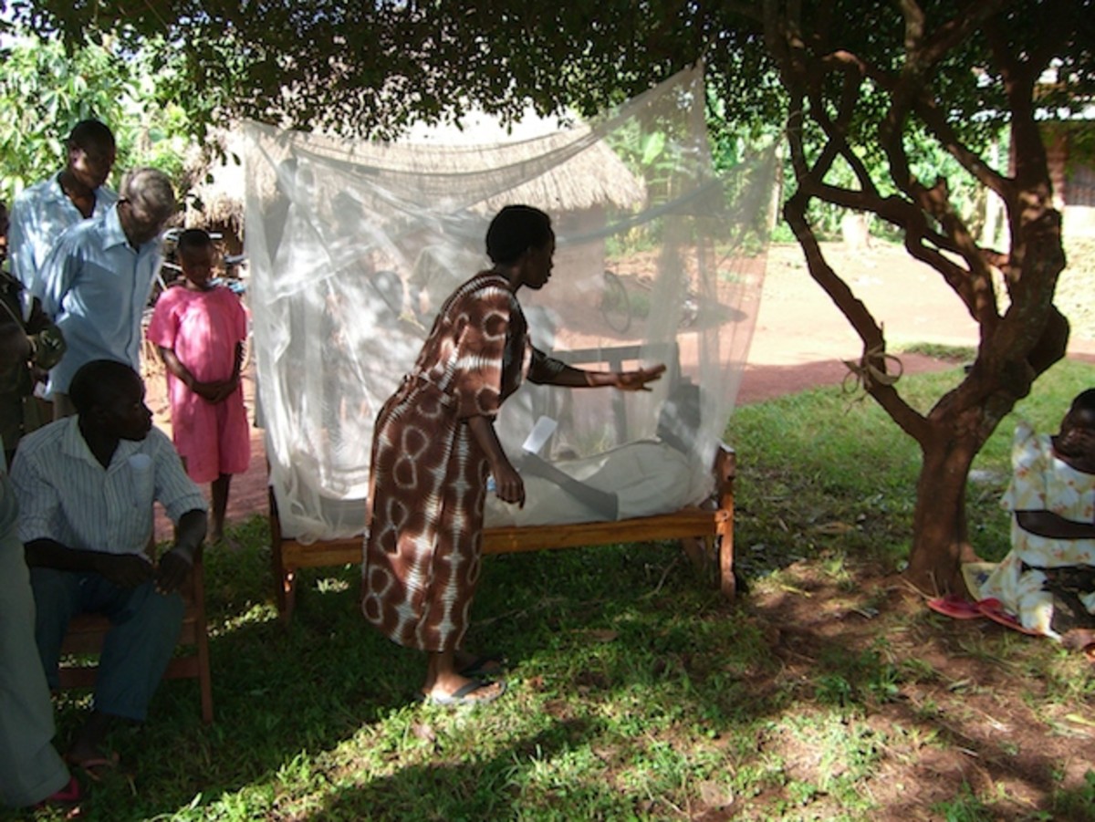 Early malaria education sessions.