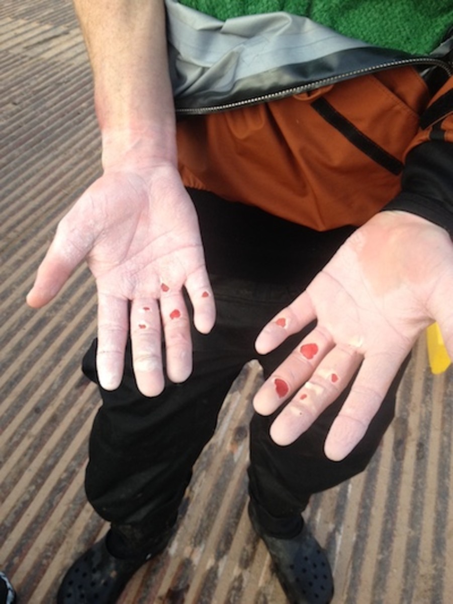 Ryan Casey's hands at the Pearce Ferry takeout. Photo courtesy Ben Luck