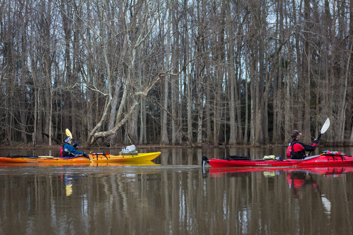 Roanoke River. Photo by Thomas Briley.