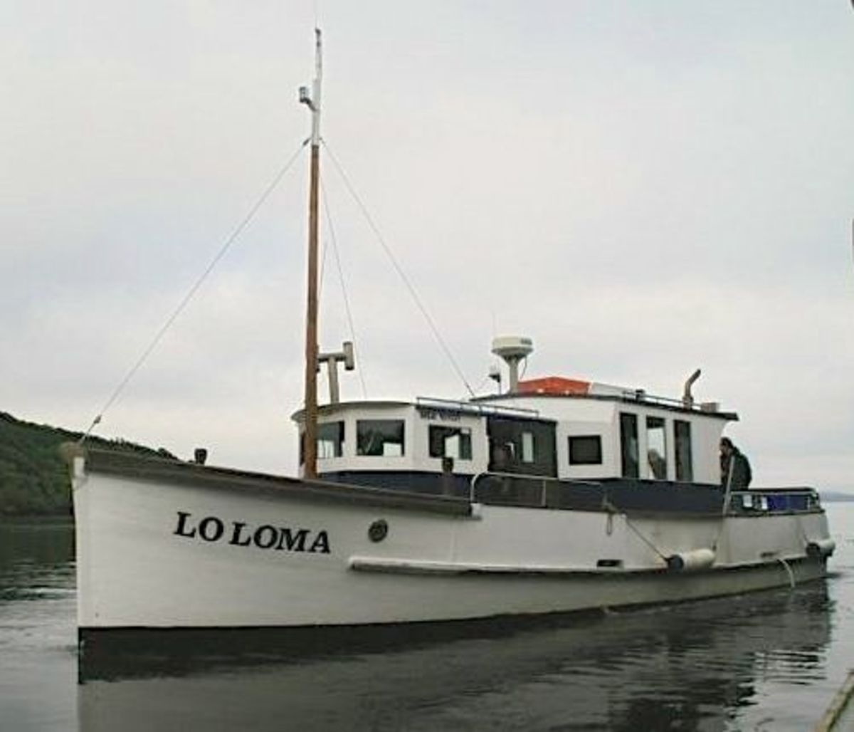The owner of LoLoma Fishing Charters said a 20-foot great white shark followed his boat for an hour and a half.
