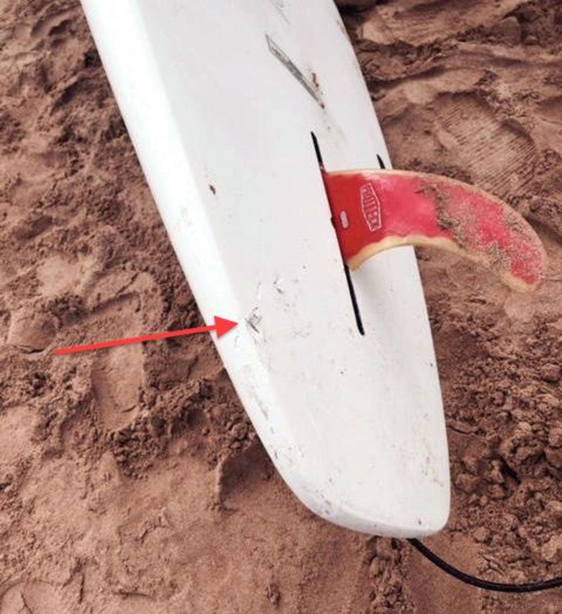 Back of the paddle board shows bites from a tiger shark.