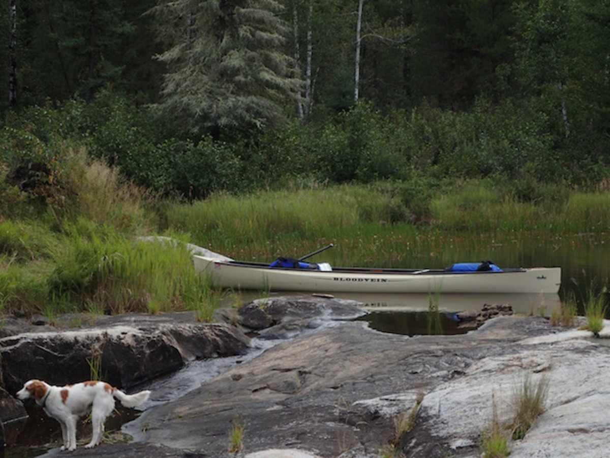 Canoe at home in its native habitat