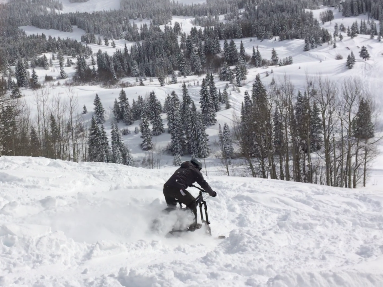 Would you ride a fat bike with a ski 