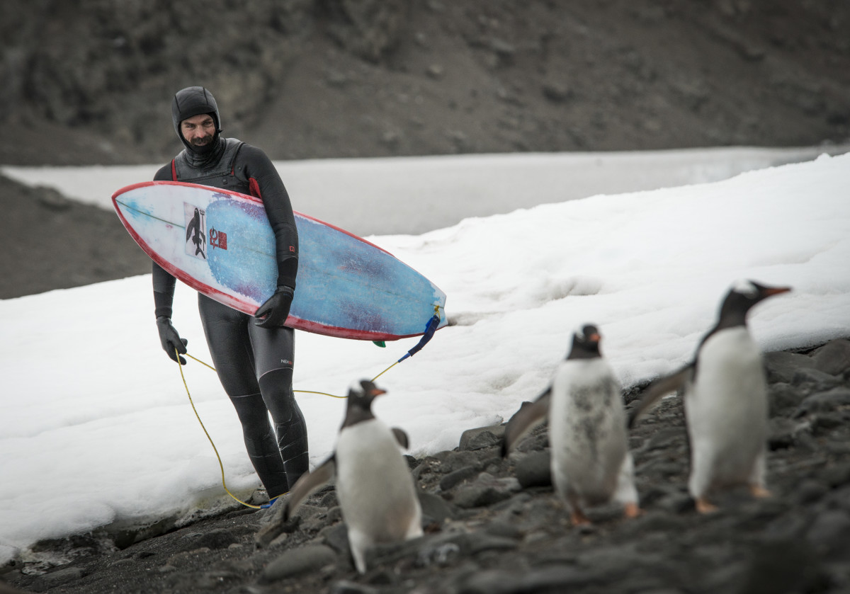 6 coldest places to surf antarctica