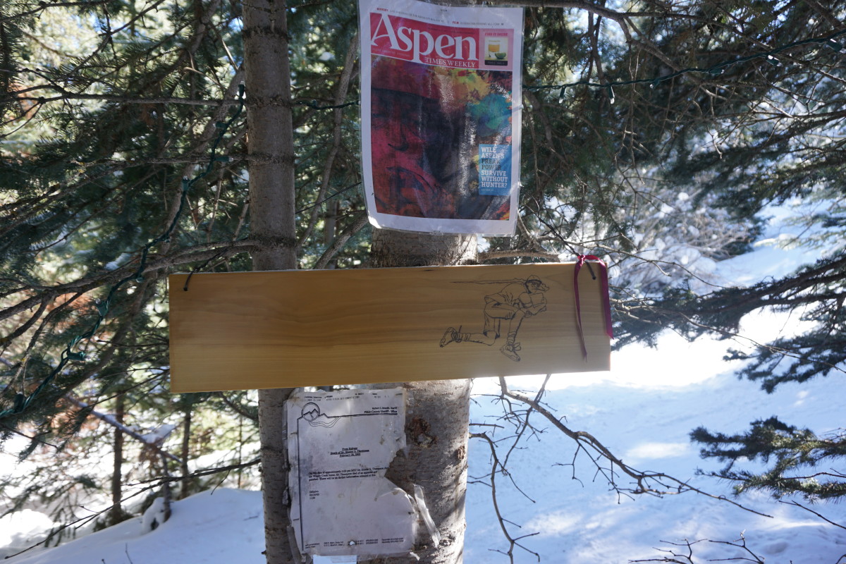 aspen 520