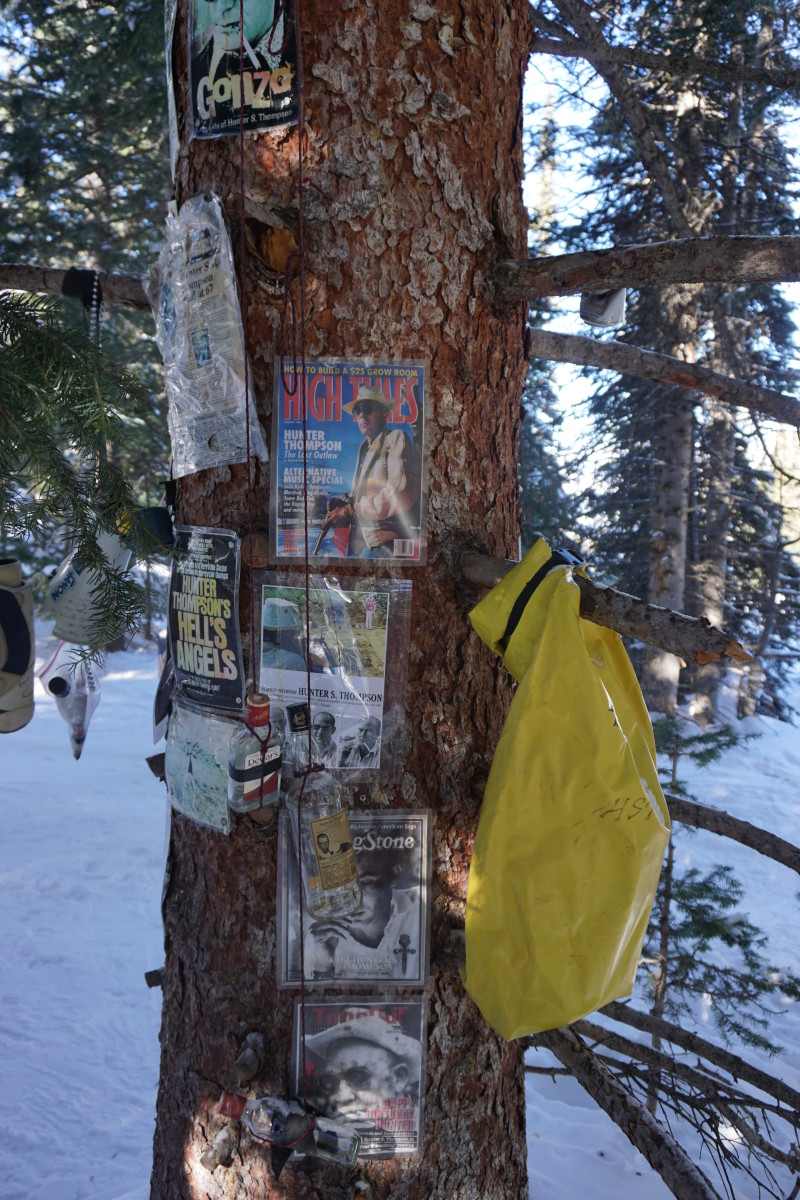 aspen 555