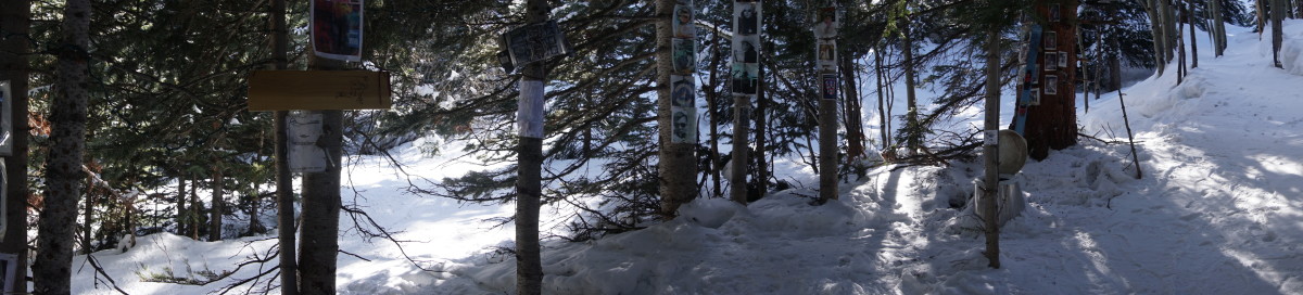 aspen 620