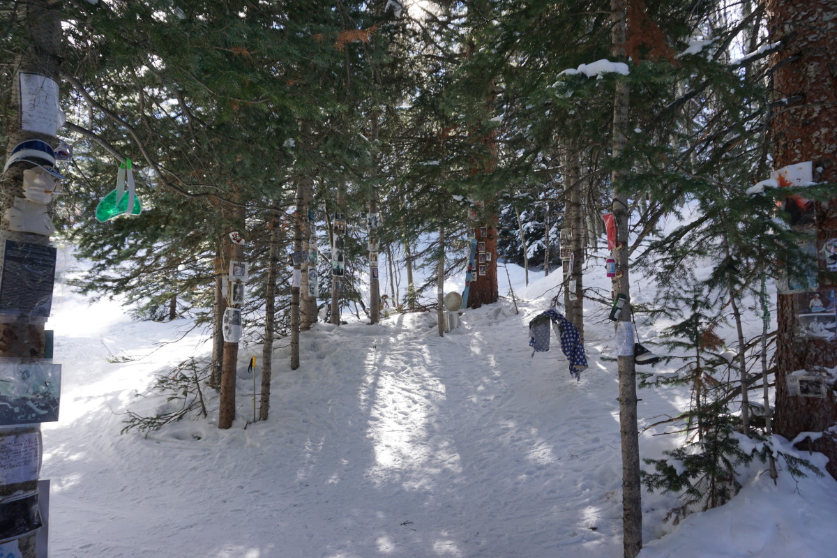 aspen 624
