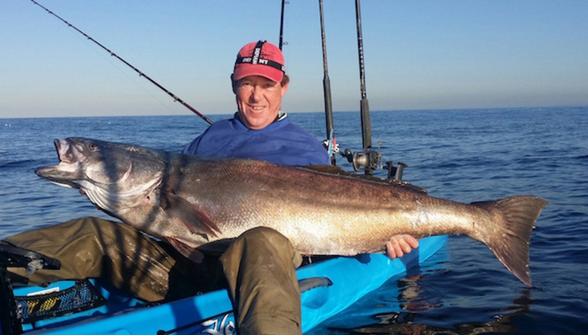 Brian Fagan's 74.2-pound white seabass is the largest ever weighed by a kayaker on an official scale