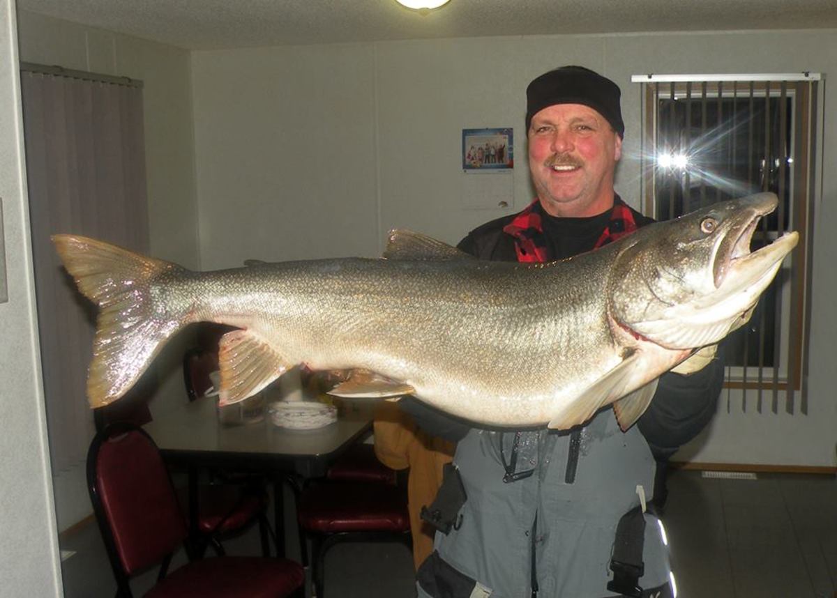 Barry Larson shows off his 38-pound lake trout, which just missed the ice fishing world record. 