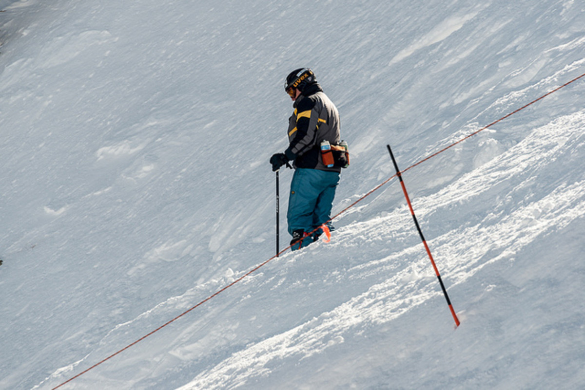 skier looks down Chip's Run at Snowbird
