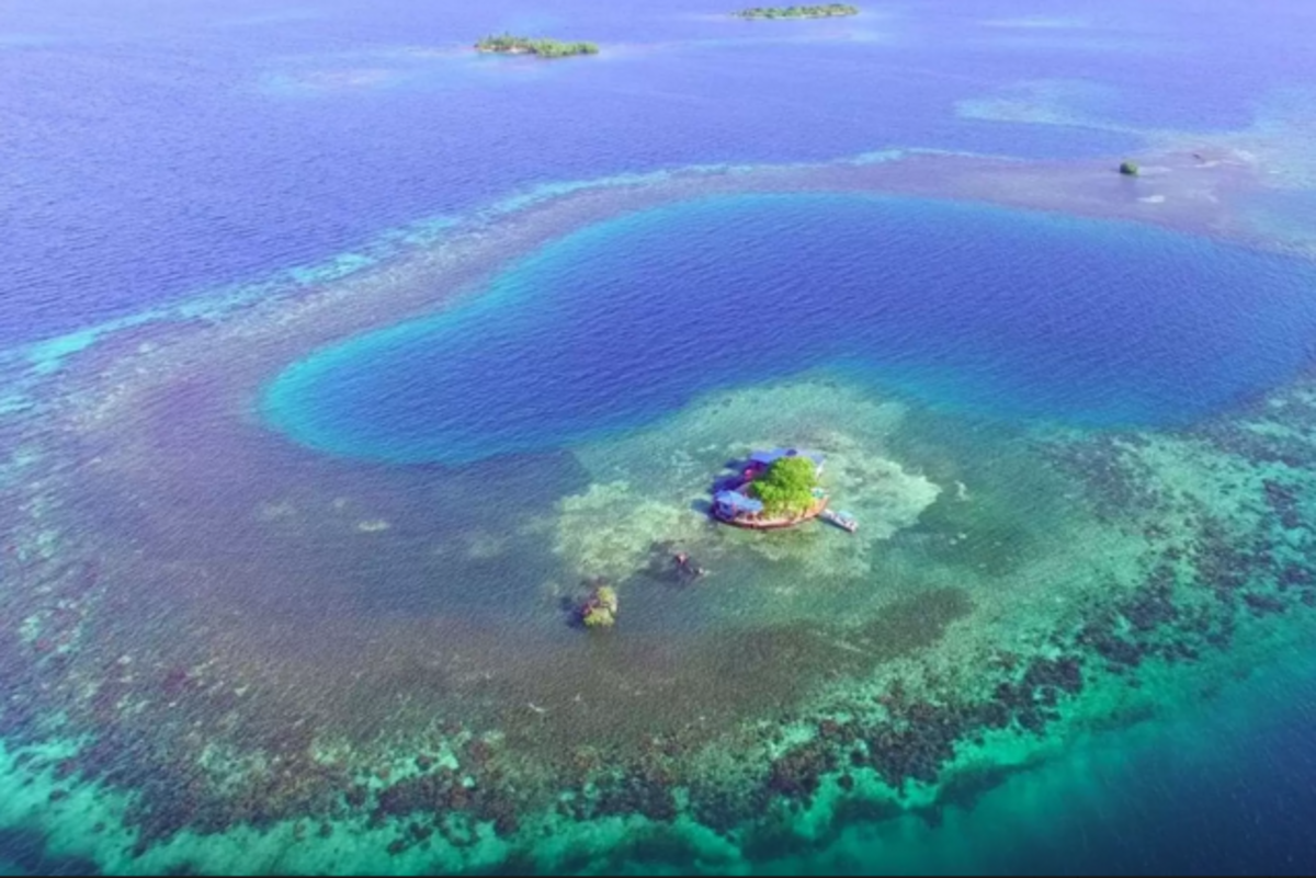 Bird Island Airbnb