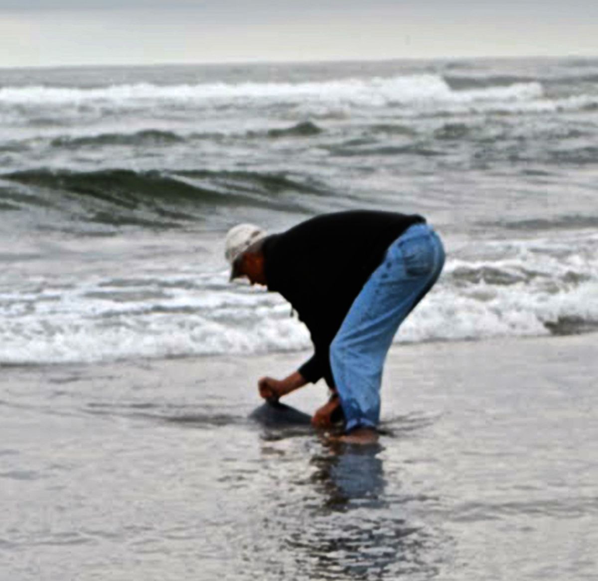 Alan Holyoak, a marine biologist, was careful in handling the baby shark.