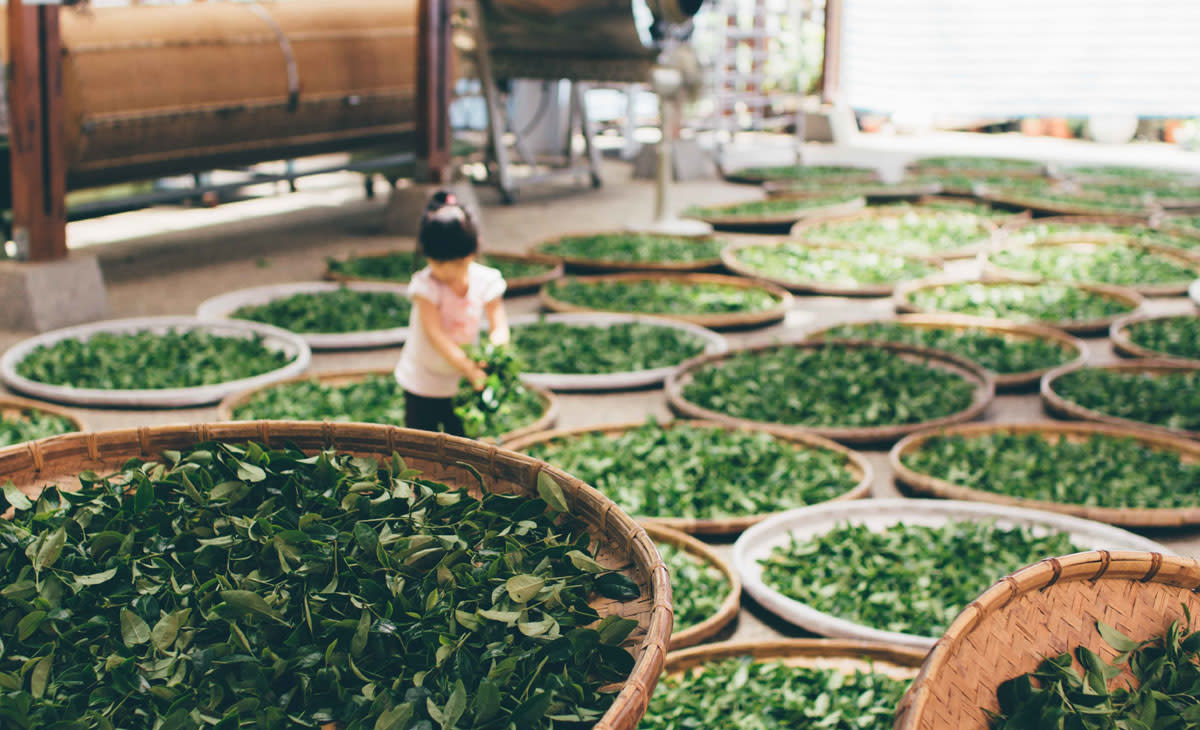 An energy boost that simultaneously calms the mind? Drink up. Photo: Courtesy of Unsplash
