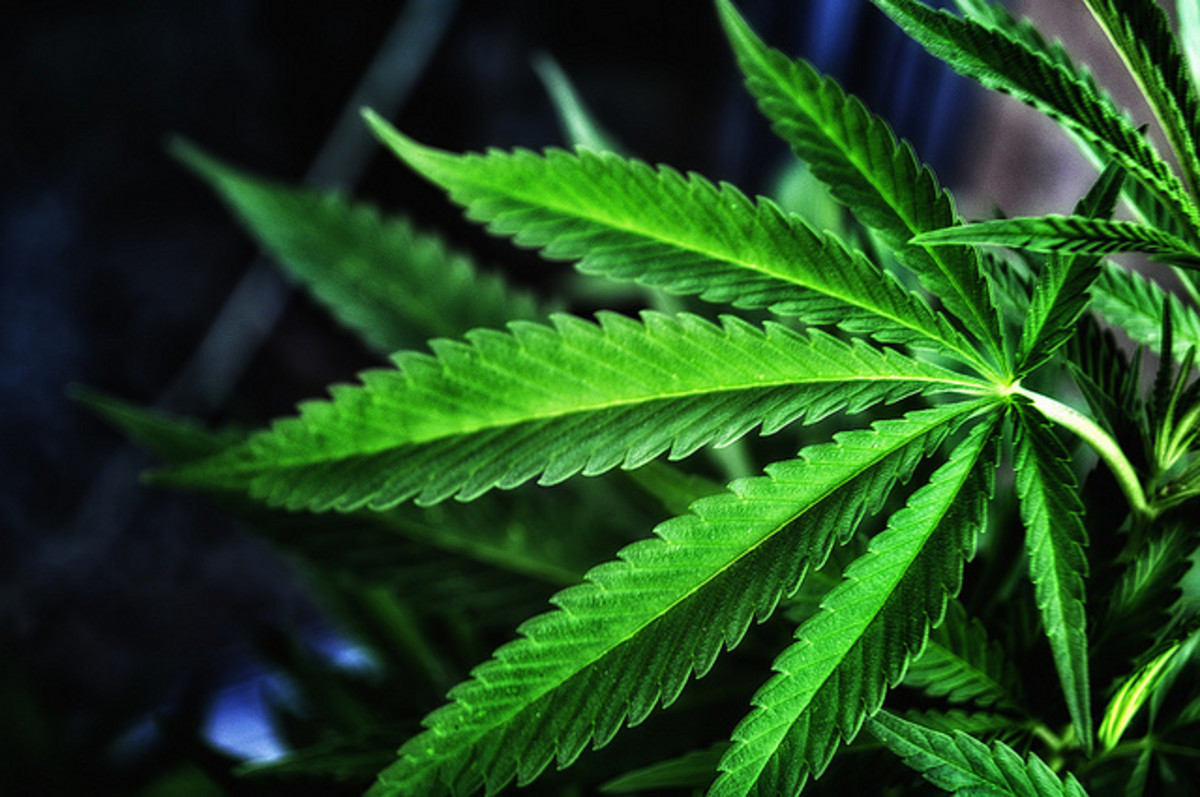 Japanese snowboarders suspended for marijuana