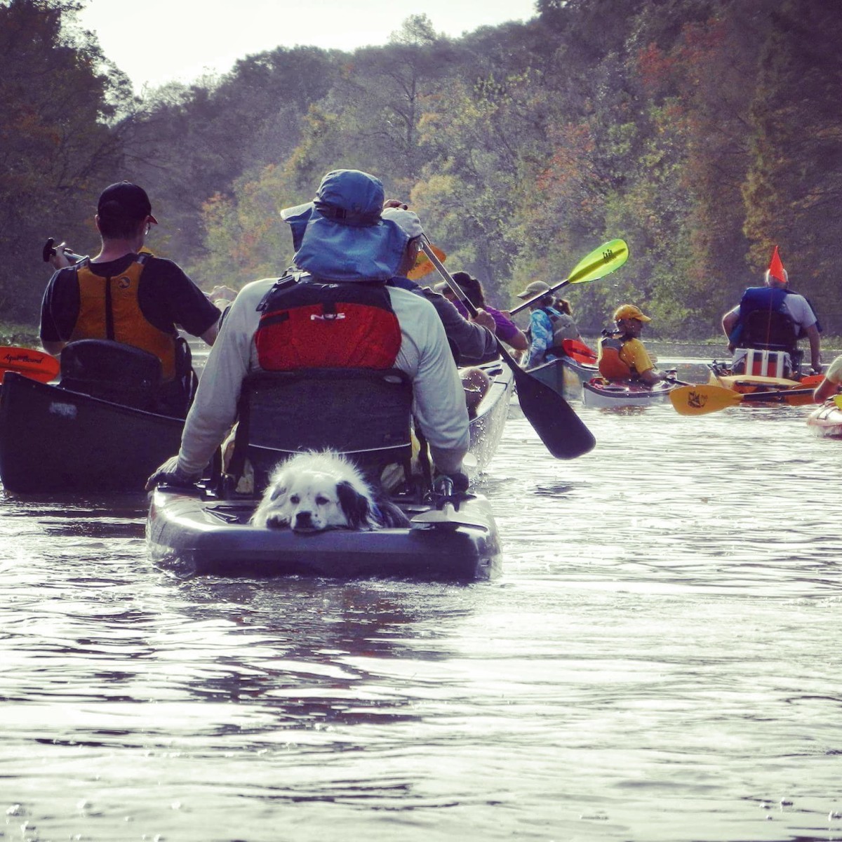 Taking it easy on the Bayou Teche. Image courtesy of Conni Castille.