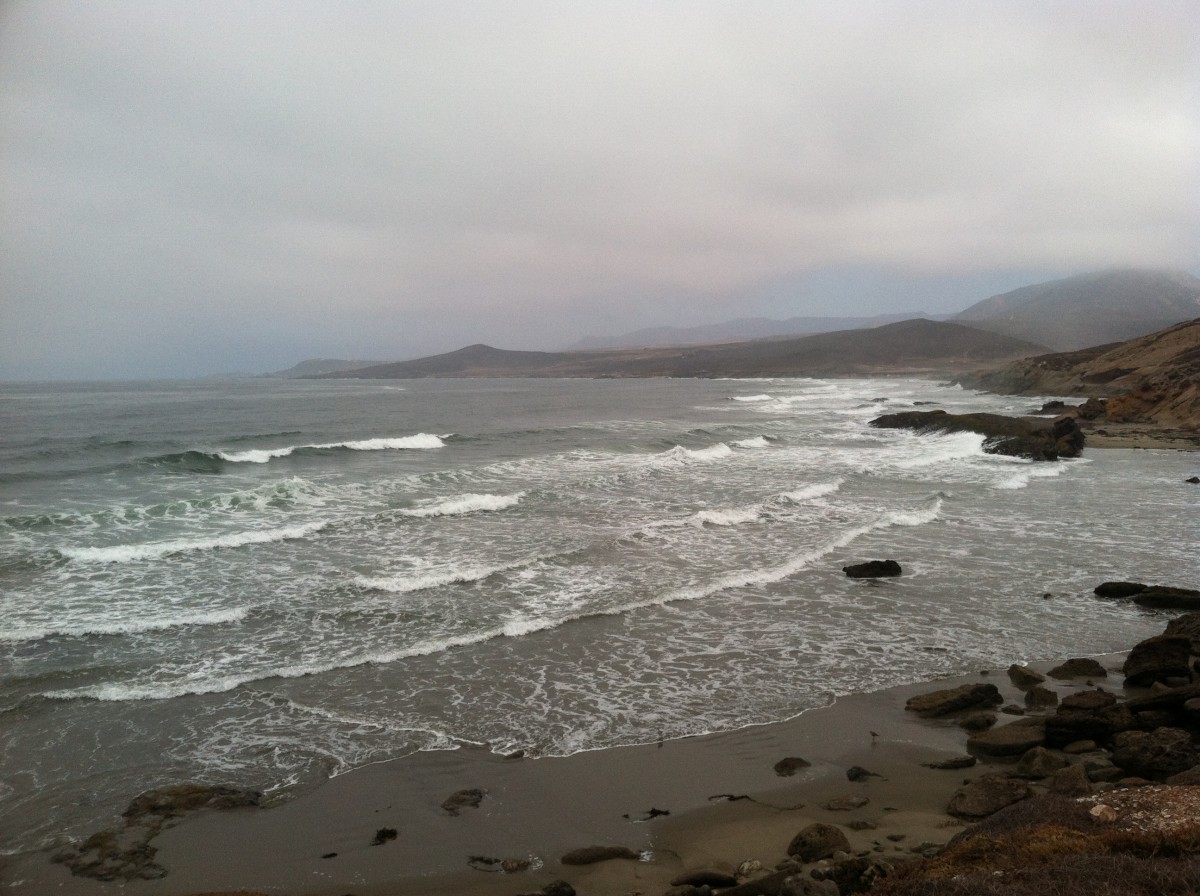 Waves just north of Coyote Cal's that morning. Photo: Courtesy of Cyrus Saatsaz