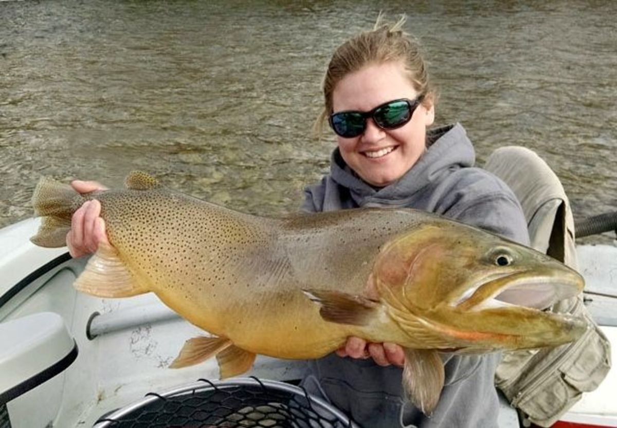 Cyndle Clift caught this huge Yellowstone cutthroat trout some are calling a record.