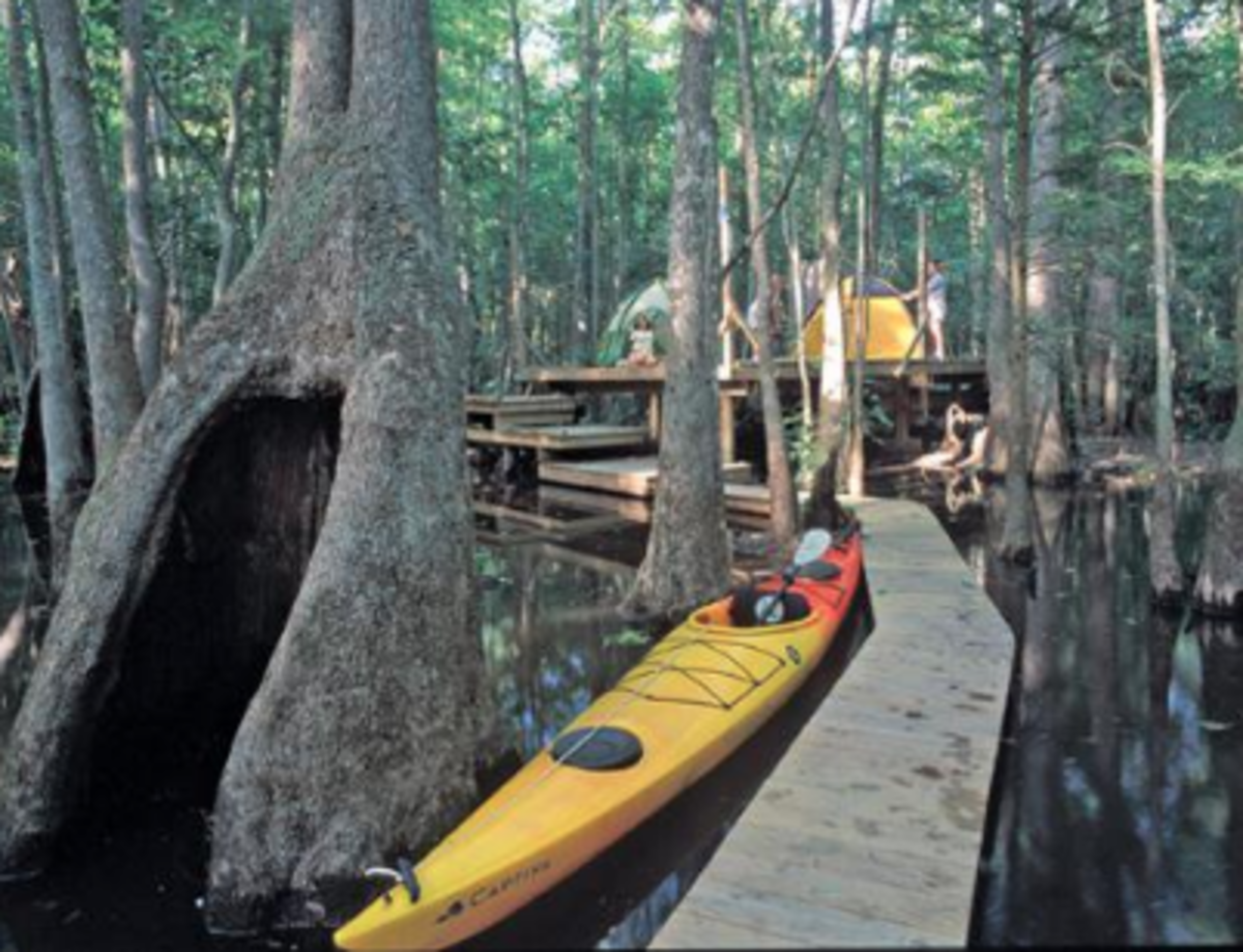 Photo courtesy of PaddlePartner.