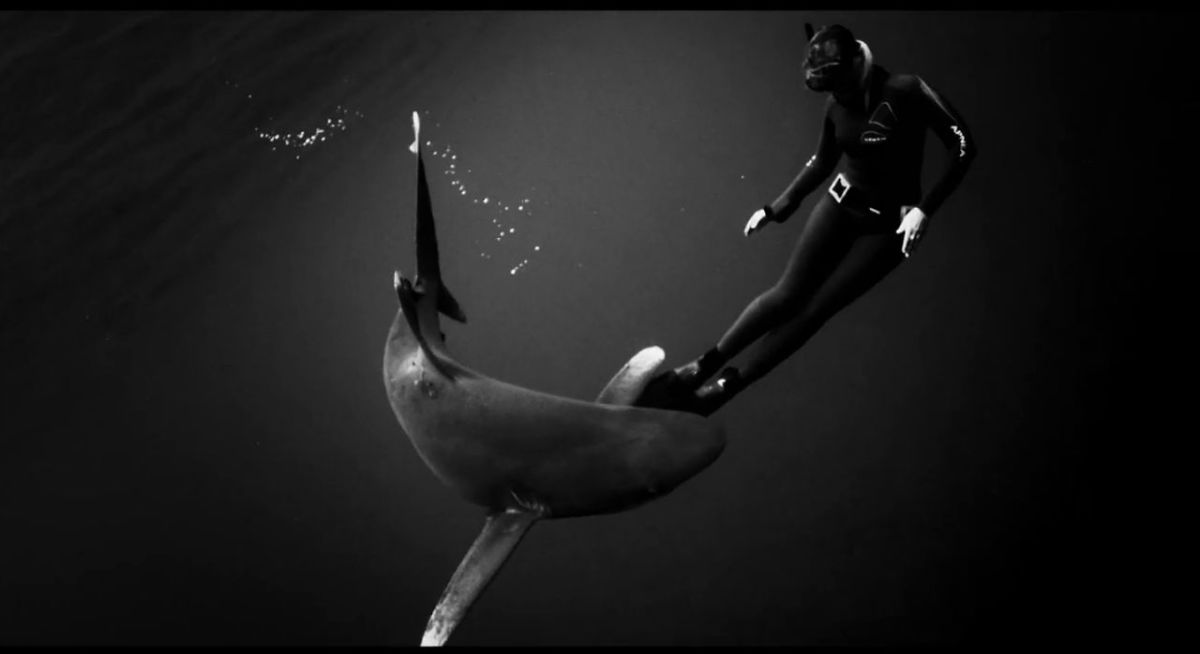 A shark dancing at the feet of an angel. Photo Shark Angels