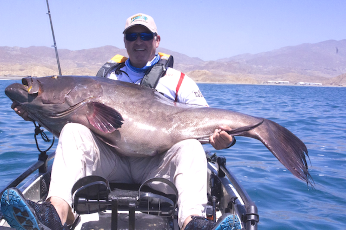 Record_cedros_grouper