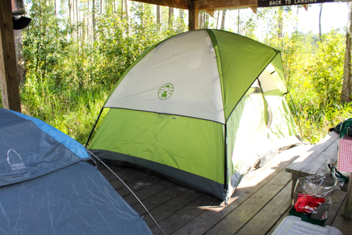 swamp pics-0269