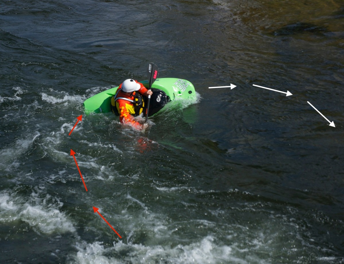 DSC03684
