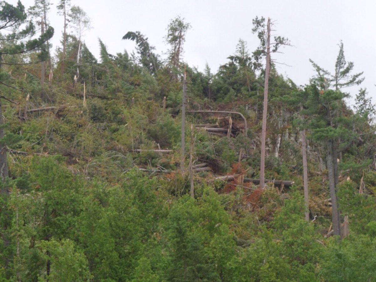 Large pines were snapped off 10-20 feet off the ground.
