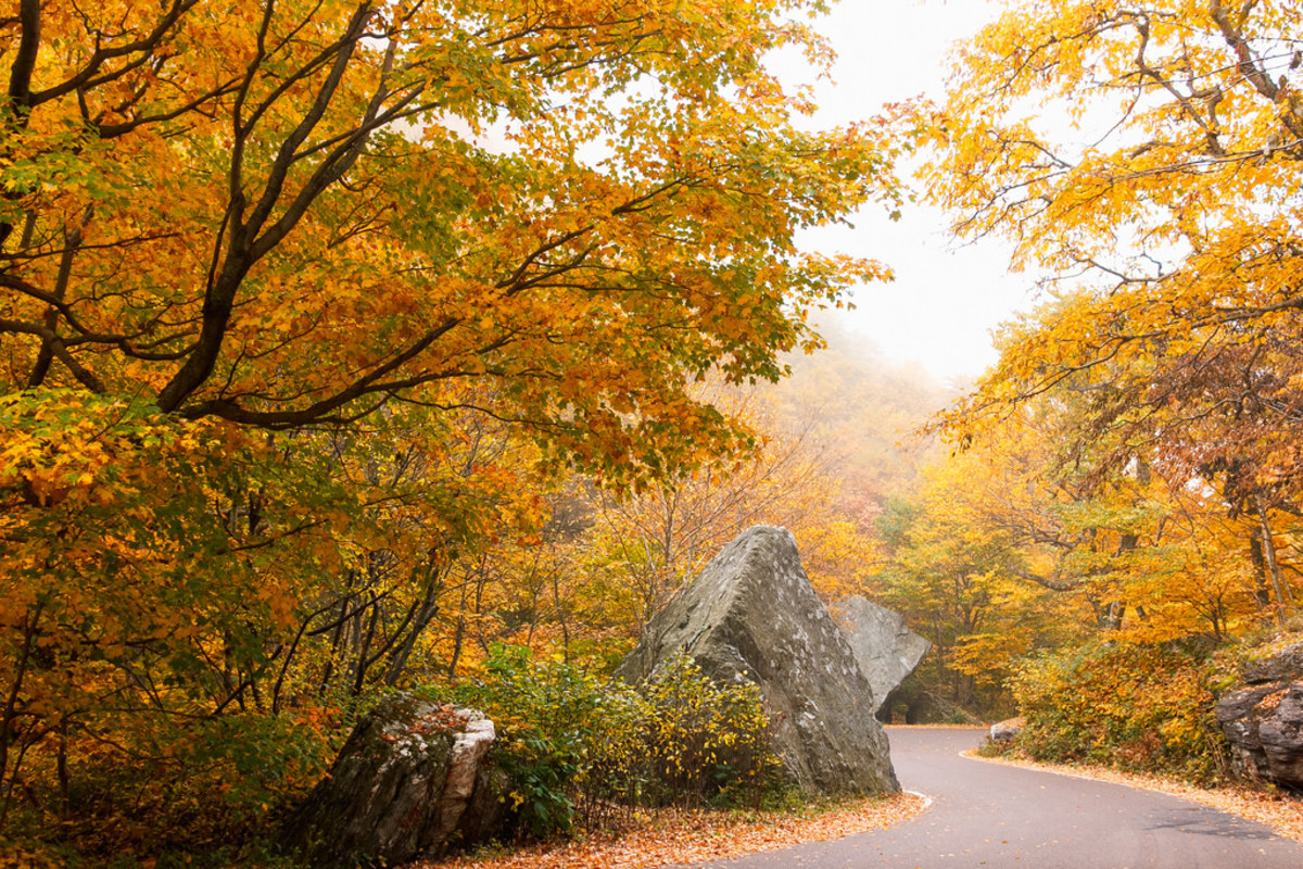 The Smuggler's Notch Loop. Photo: Hei Pei