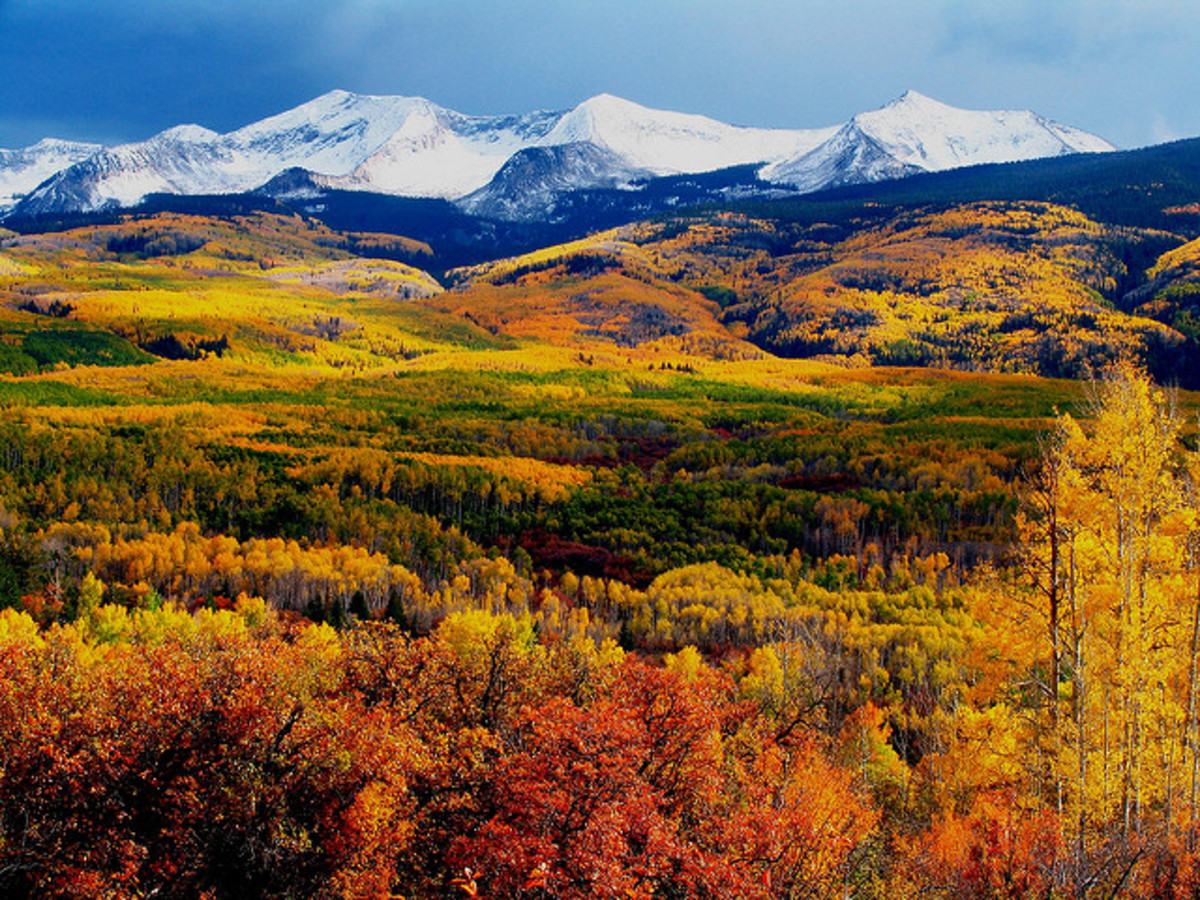 Fall colors in Crested Butte. Photo: Mellow Rap