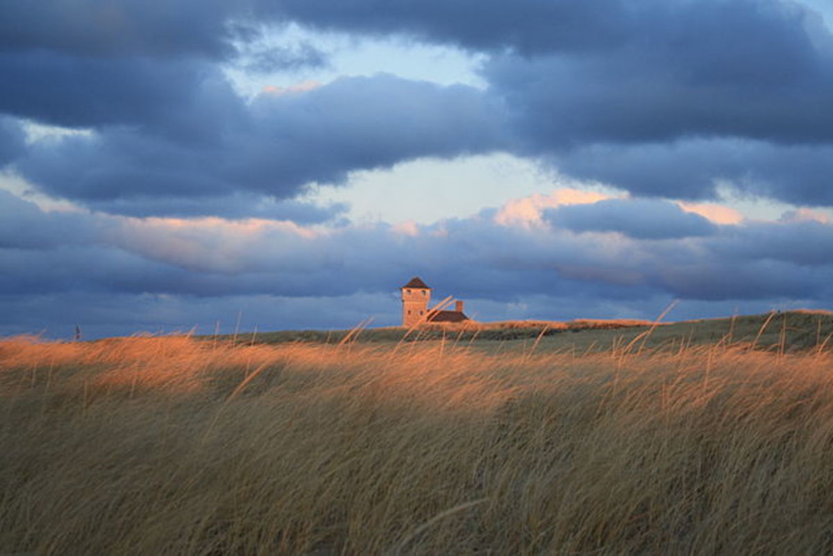 Fall light on the Cape. Photo: Stefan Fusan
