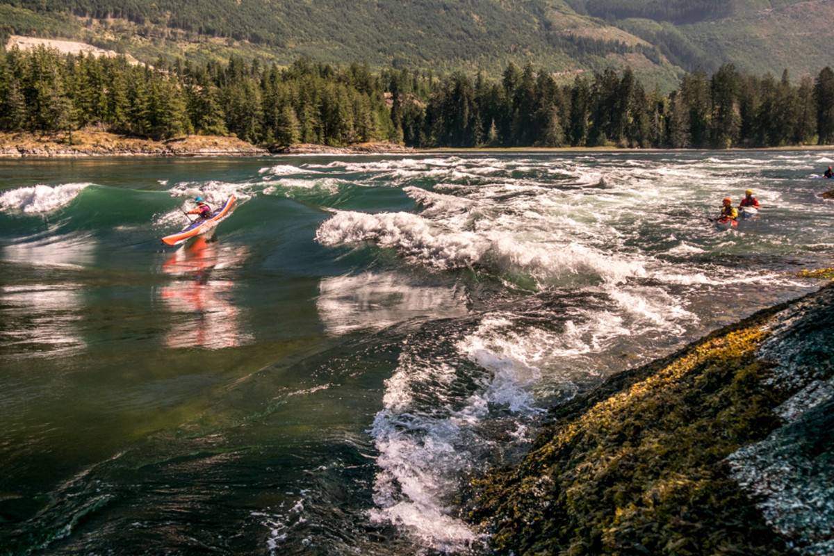 Surfing Skookumchuck, B.C. Photo by Daniel Fox.