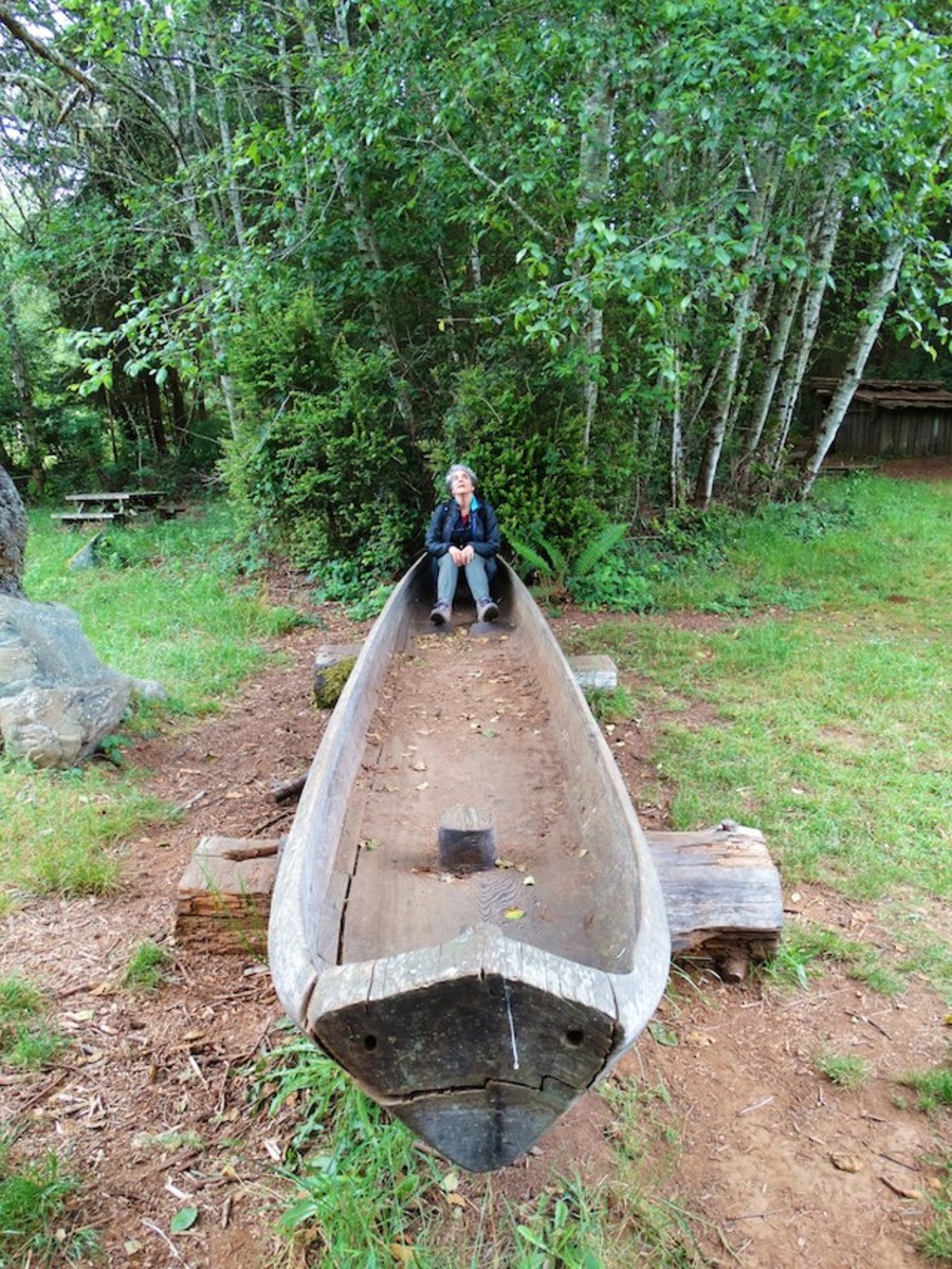 The Yuroks and other tribes on the North Coast used dugout canoes hewn from redwood logs for transport, fishing, and perhaps even whaling.