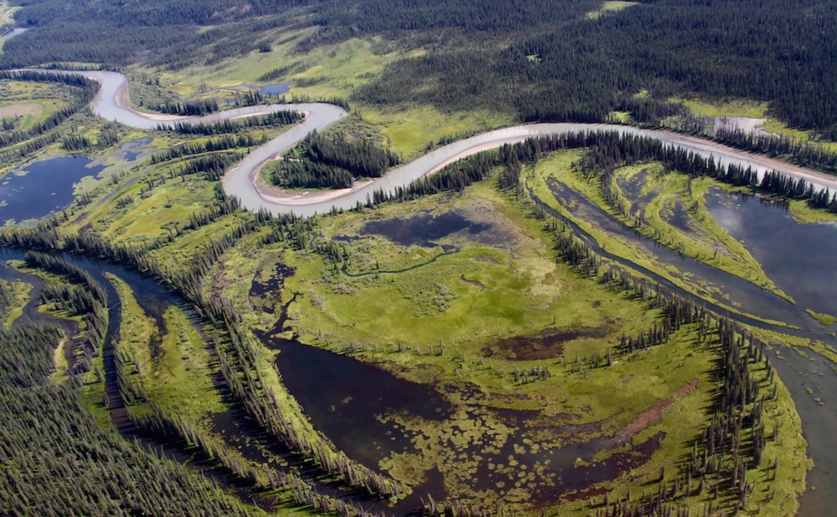 The Spatsizi River near Canoe Lake, where we began our journey in British Columbia's Spatsizi Plateau Wilderness Provincial Park.