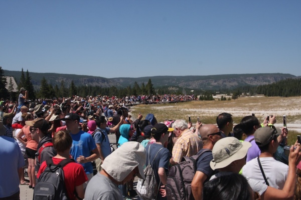 Old faithful, where crowds of camera-sporting tourists gather each day like clockwork.
