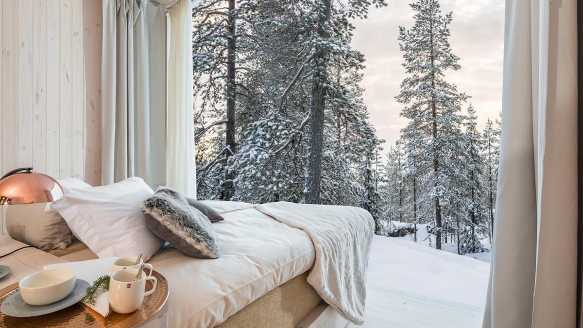 Really can't think of a view any better than this. Photo: Courtesy of Arctic Treehouse Hotel