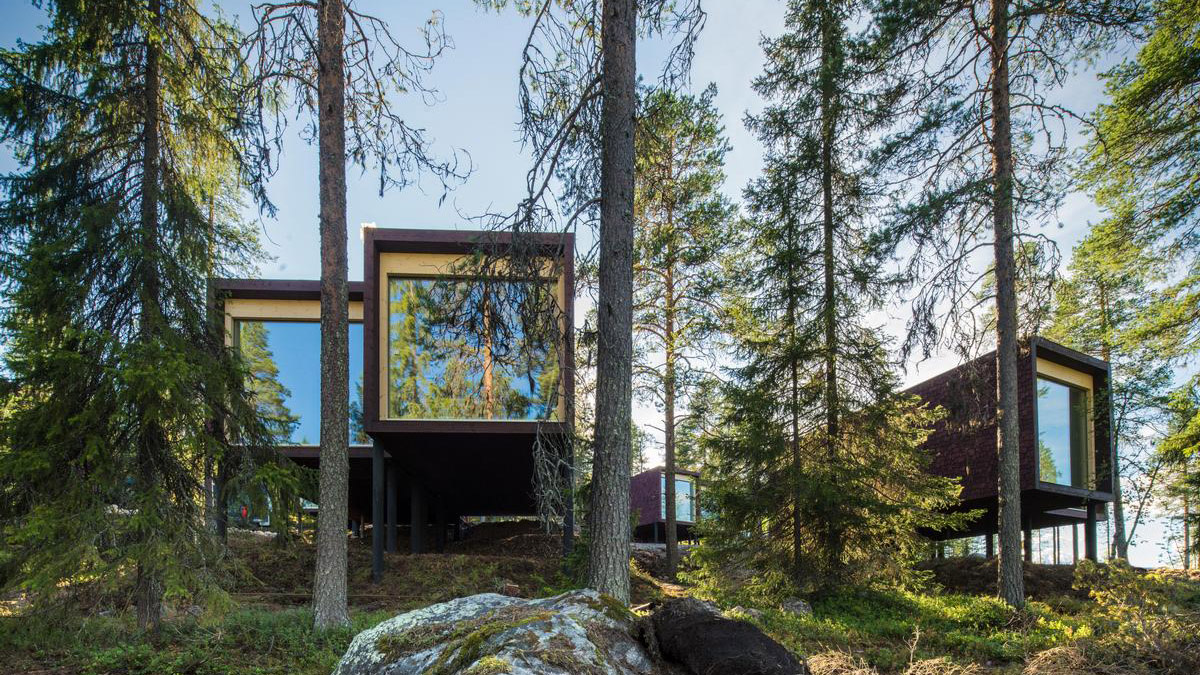 The Arctic Treehouse Hotel forest in the day. Photo: Courtesy of the Arctic Treehouse Hotel