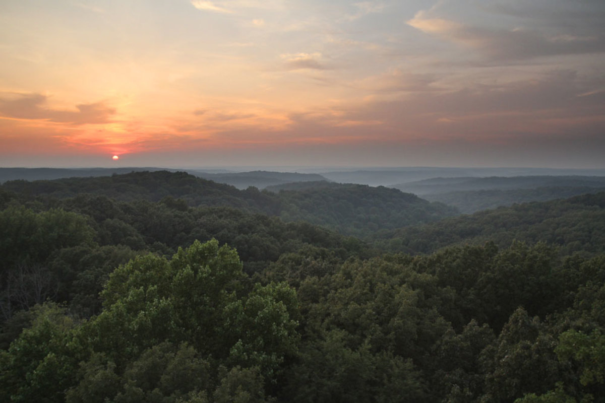 hoosier-national-forest-web