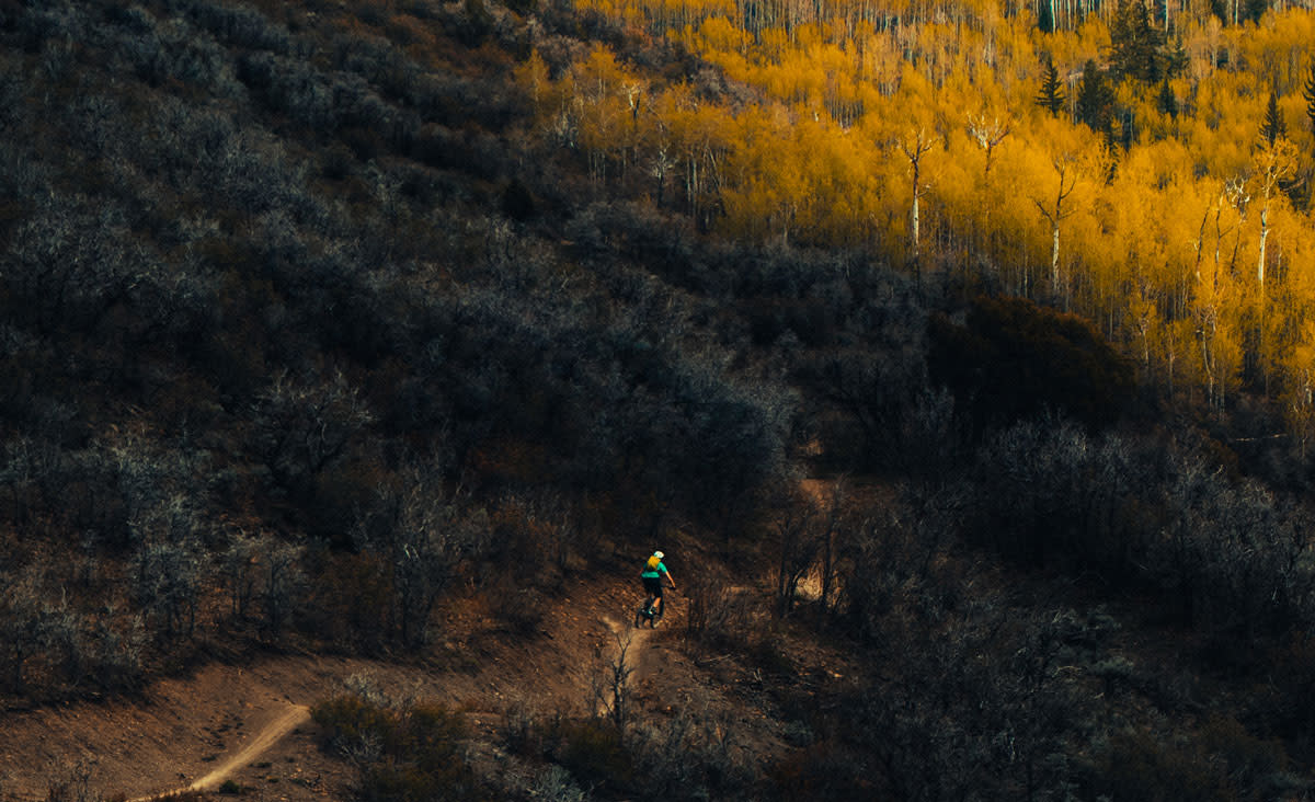mountain bike essentials