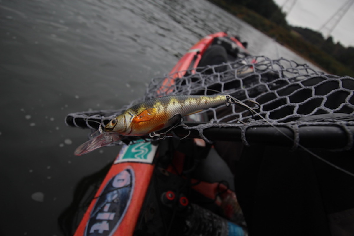 Ever snag a lure in your net? Why not do it on purpose the next time you hang up a bait in shallow water? A net is just one of the many kayak fishing tools available to the paddling angler. Photo Jeff Little