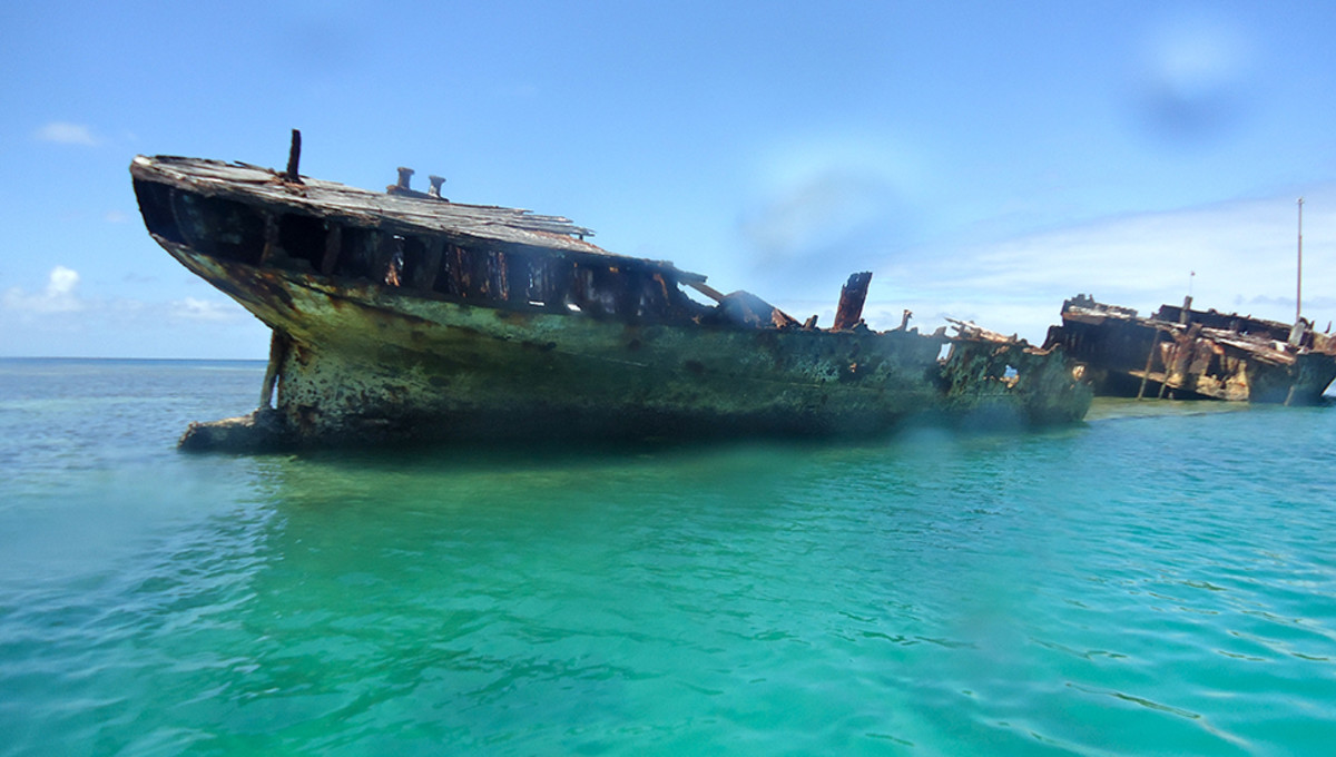 Could old shipwrecks hold the key to fixing coral bleaching? Photo: Rebecca Parsons
