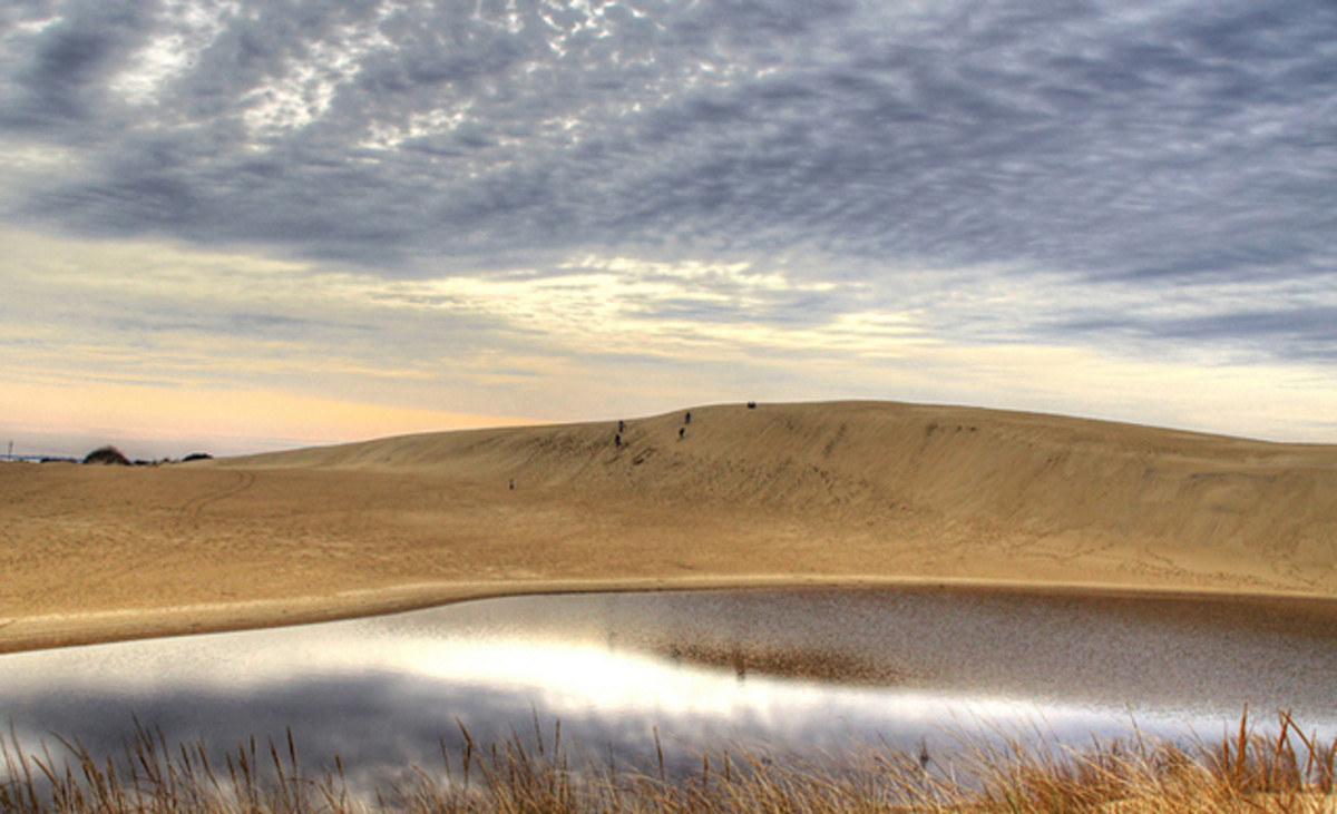 Jockey's Ridge isn't your traditional "hike" but the biggest dunes on the East Coast are a must sea. Photo: Patrick McKay/Flickr.