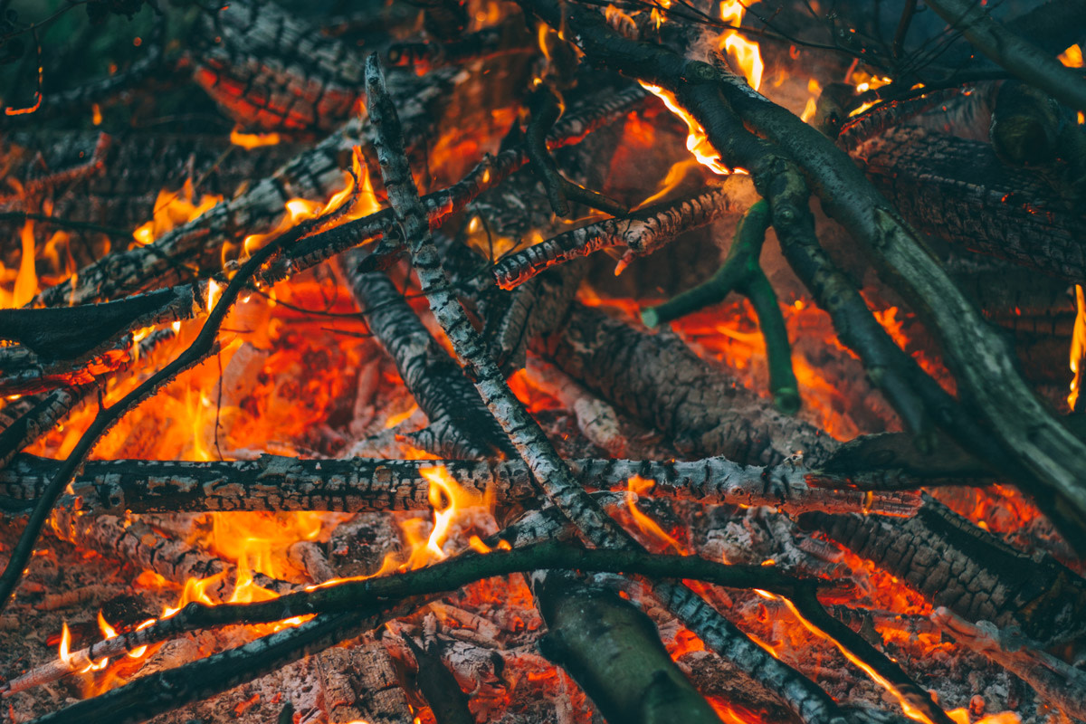The snap, crackle and pop of some good firewood. Photo: Courtesy of Luke Porter/Unsplash